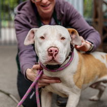 Wally Photo