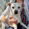 Brisa - Photo 9