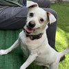 Brisa - Photo 6