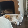 Brisa - Photo 5
