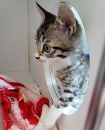Schnuki Photo