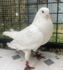 Soleil Photo