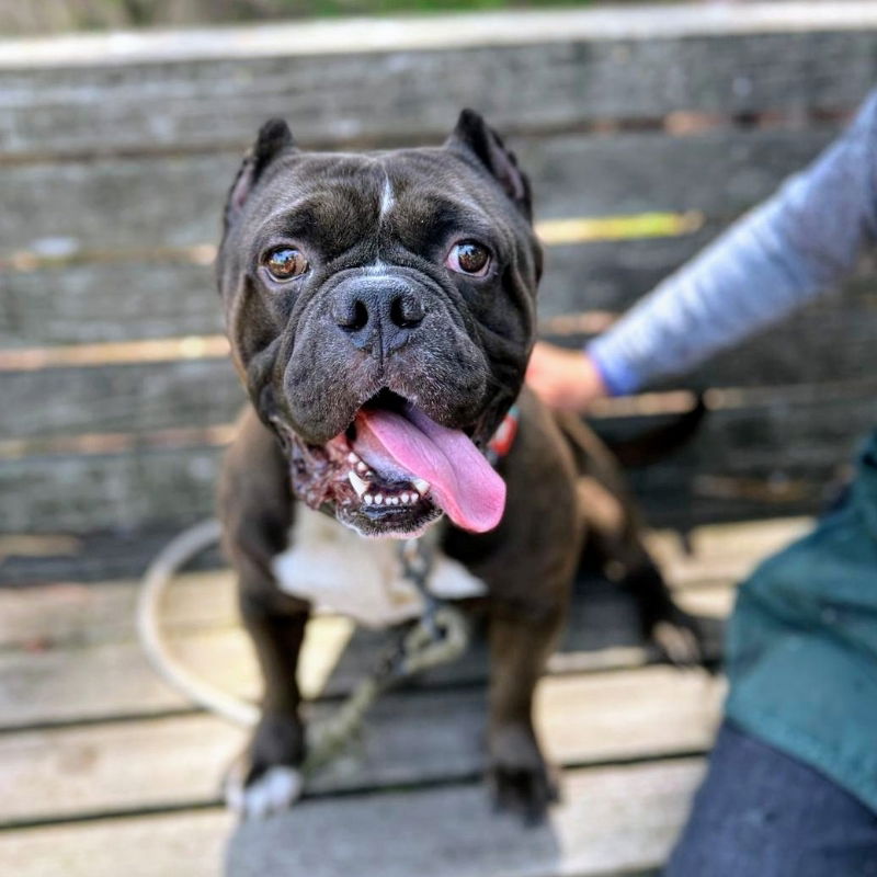 Oswald Photo