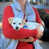 adoptable Dog in oakland, CA named Belly