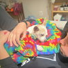Cori - Photo 2