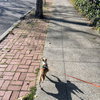 Cori - Photo 7
