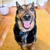 Baldwin - Photo 1