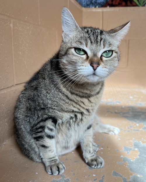 Photo of Sassy