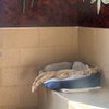 Muffin Man - Photo 9