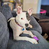 Marge - Photo 5