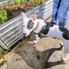 Marge - Photo 6