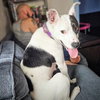 Marge - Photo 1