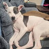 Marge - Photo 7