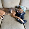 Kennedy - Photo 5