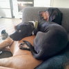 Mortimer - Photo 7