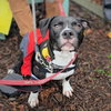 Mortimer - Photo 2