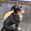 Mortimer - Photo 1