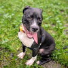 Mortimer - Photo 3