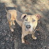 Dizzy - Photo 3