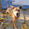 Dizzy - Photo 6