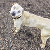 Ashby - Photo 6