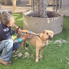 Ashby - Photo 5