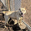 Ashby - Photo 2