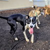 Owen - Photo 3