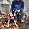Owen - Photo 6