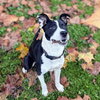 Owen - Photo 8