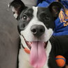 Owen - Photo 4