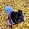 Bubba Gump - Photo 4
