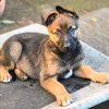 Miles - Photo 2