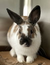 Tia - Photo 1