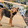 Butterfingers - Photo 4