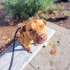Rudy - Photo 6