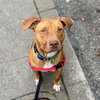 Rudy - Photo 2