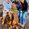 Rudy - Photo 3