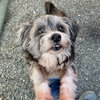 Ruxpin - Photo 6