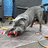 Timmy - Photo 3