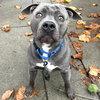 Timmy - Photo 6