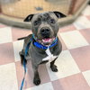 Timmy - Photo 2