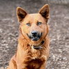 Carmela - Photo 4