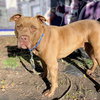 Weffy - Photo 8