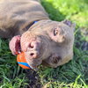 Weffy - Photo 4