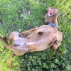 Weffy - Photo 5