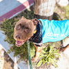 Weffy - Photo 3