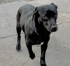 Lulita - Photo 8