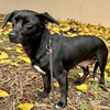 Lulita - Photo 3
