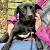 Lulita - Photo 4